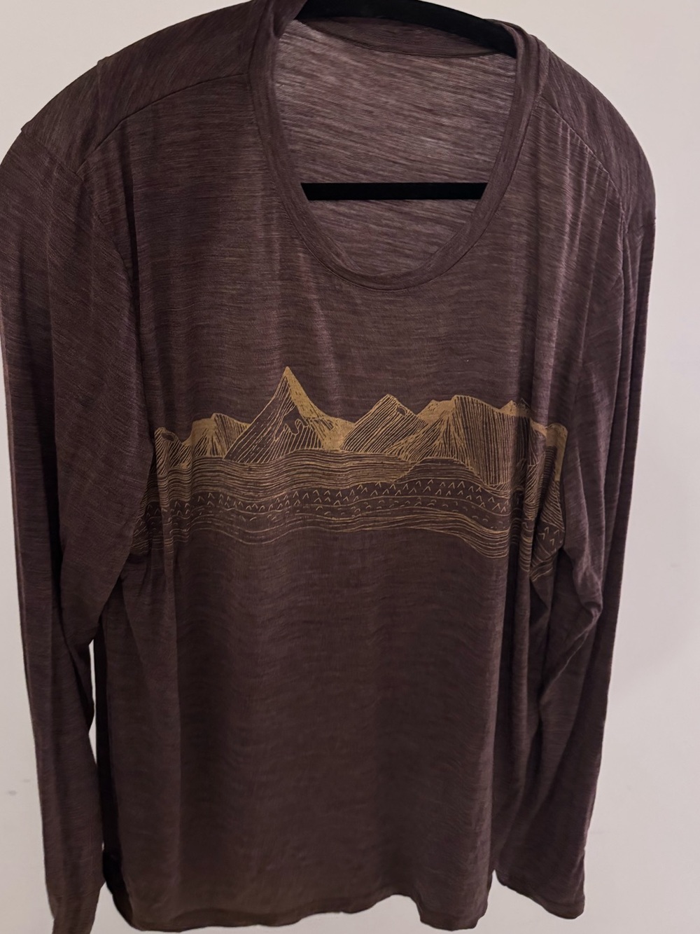 Icebreaker Brown Long-Sleeve Tee with Gold Mountain Graphic